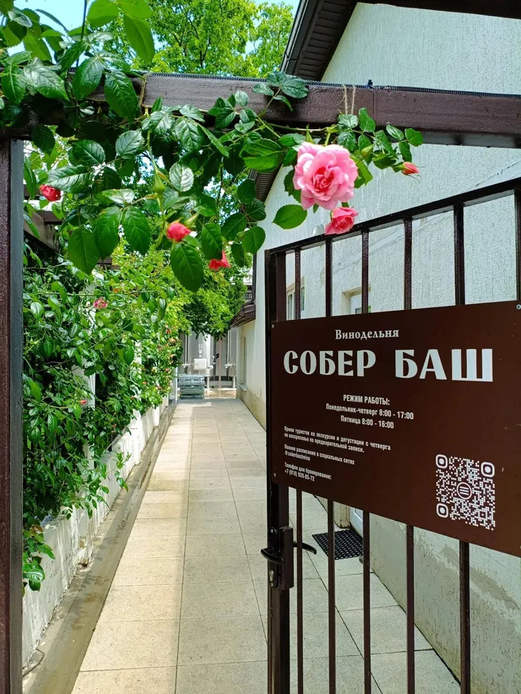 Винодельня «Собер Баш»