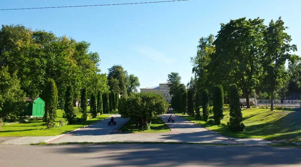Аллея туй в Городском саду Твери