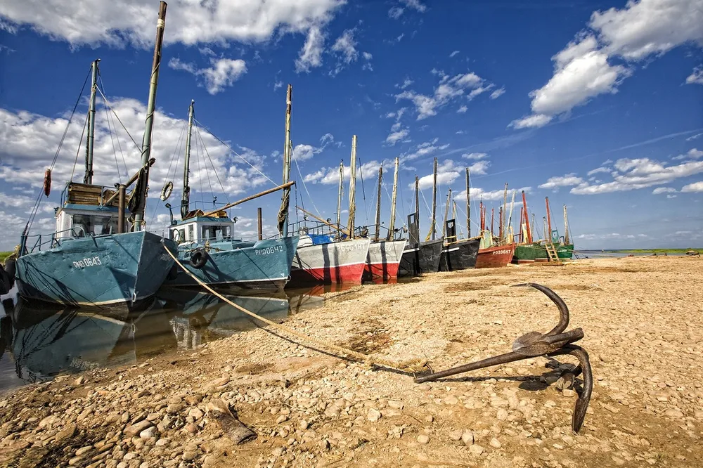 Дары Словенского моря