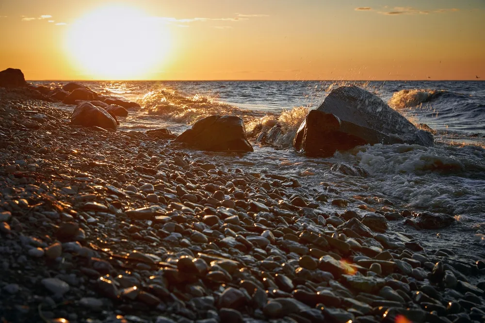 Дары Словенского моря