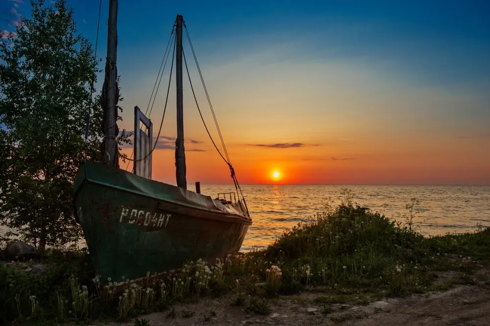 Дары Словенского моря