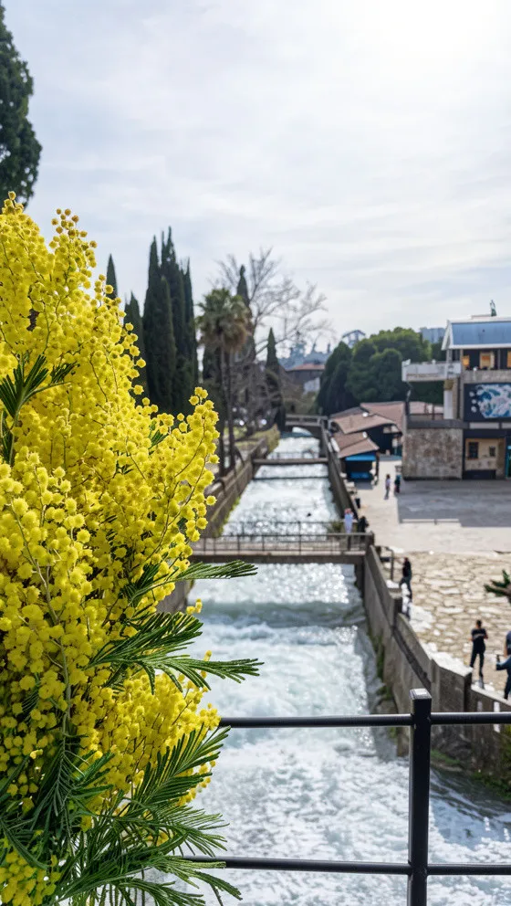 Новый Афон – туристическая мекка Абхазии