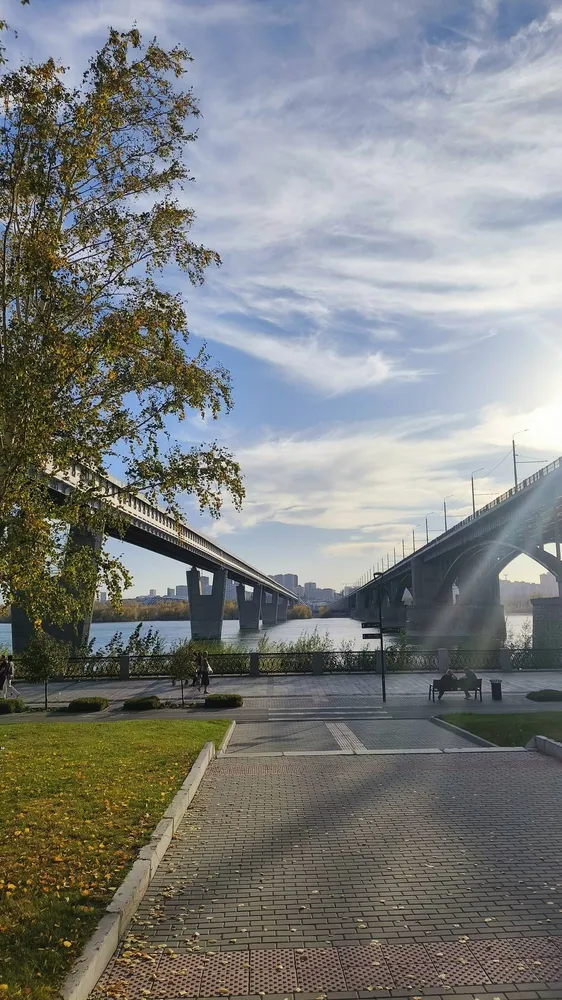 Первый автомобильный мост и метромост