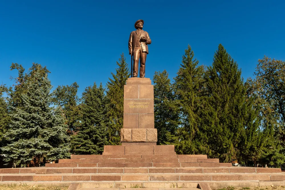 Обложка для Выходные в Мичуринске