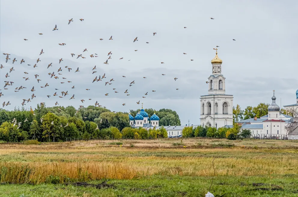 К звёздам синих куполов: с обедом