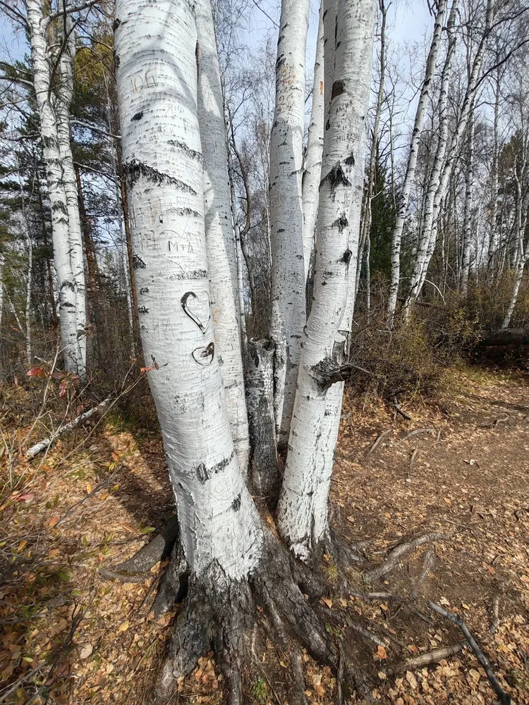 Голоустенский тракт