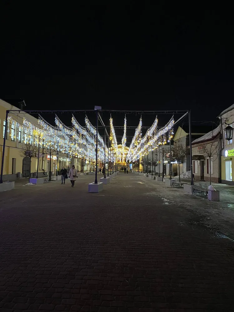 Экскурсия Архитектурные пейзажи старой Калуги