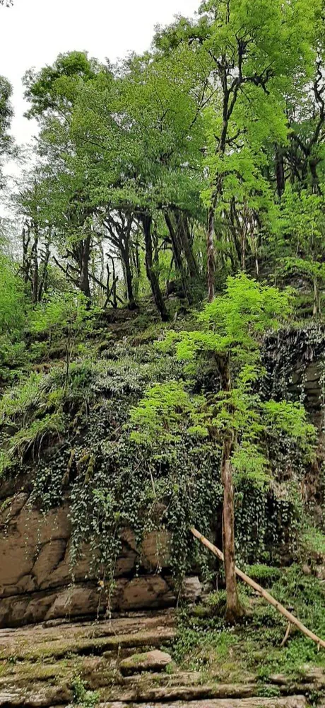 Село Голицино