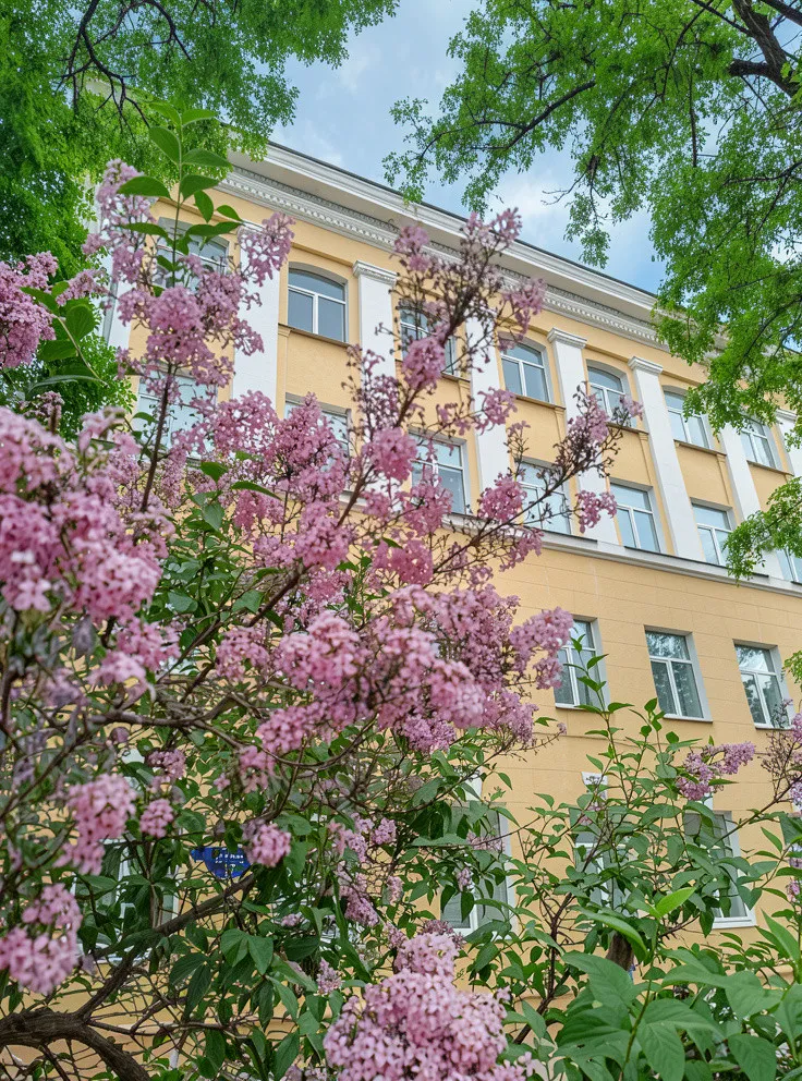 Сиреневая улица Волгограда
