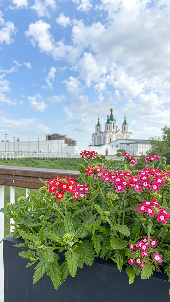 Смоторовая площадка и монастырские пруды