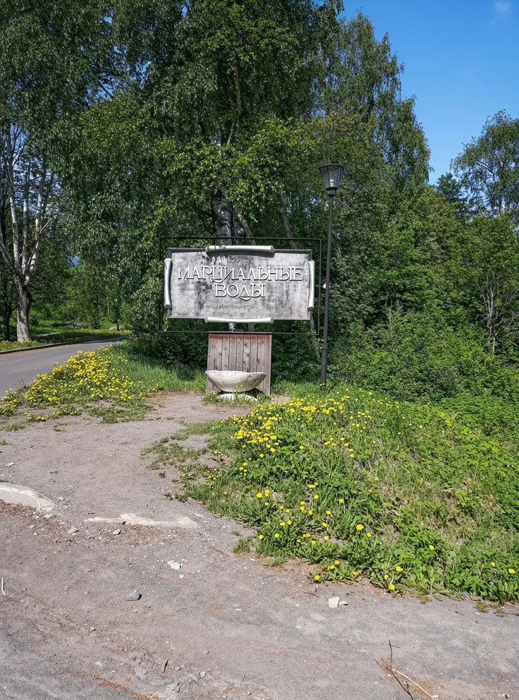 Марциальные воды