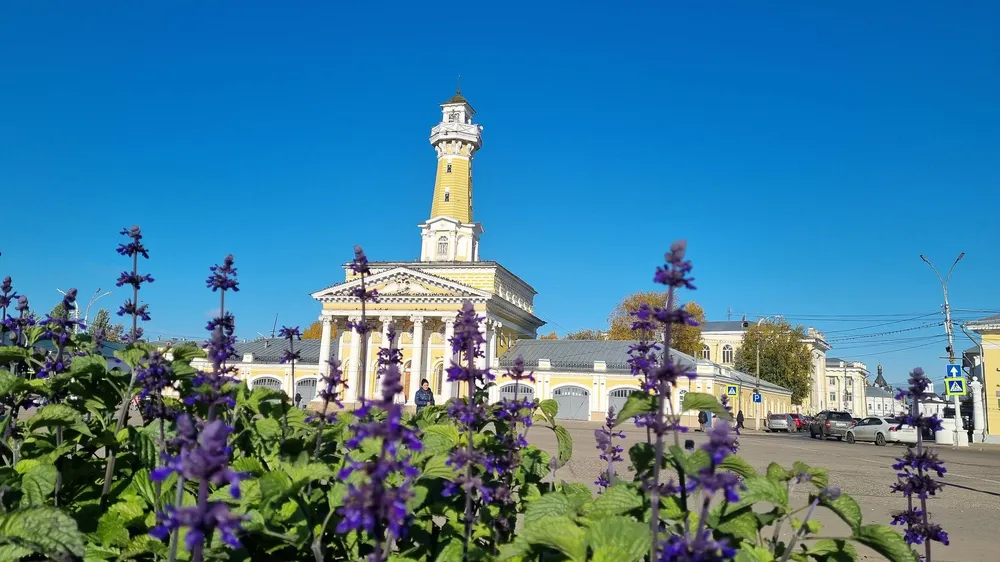 Экскурсия День в Костроме. Обзорная экскурсия, лосеферма, музей Сыра