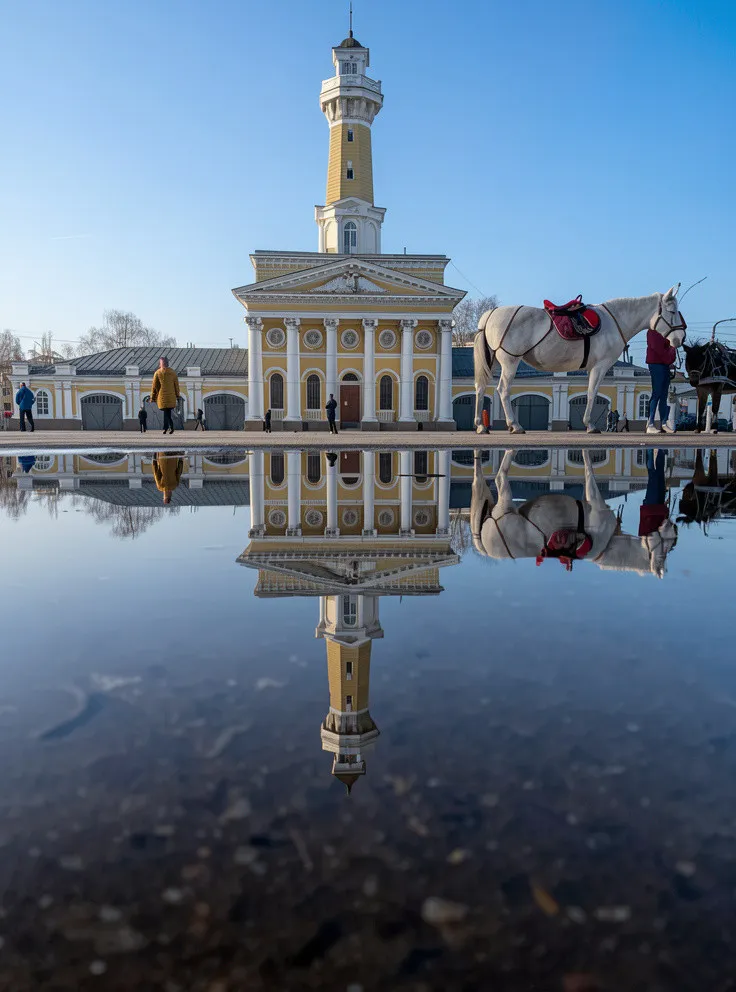 Экскурсия День в Костроме. Обзорная экскурсия, лосеферма, музей Сыра