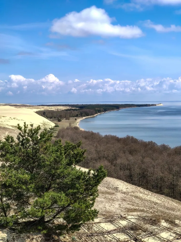 Куршская коса