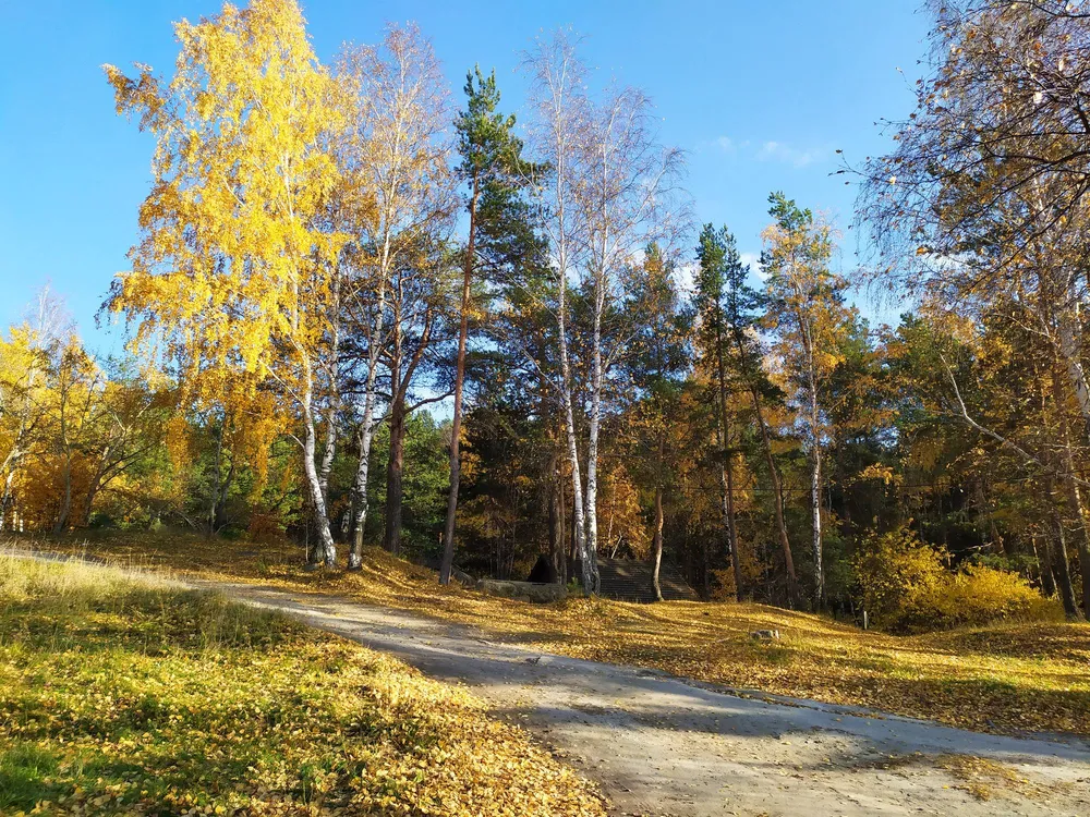 Осень в Шарташском лесном парке Екатеринбурга