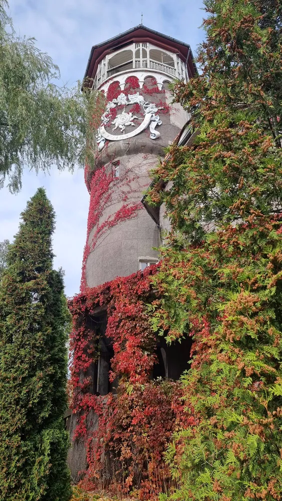 Светлогорск