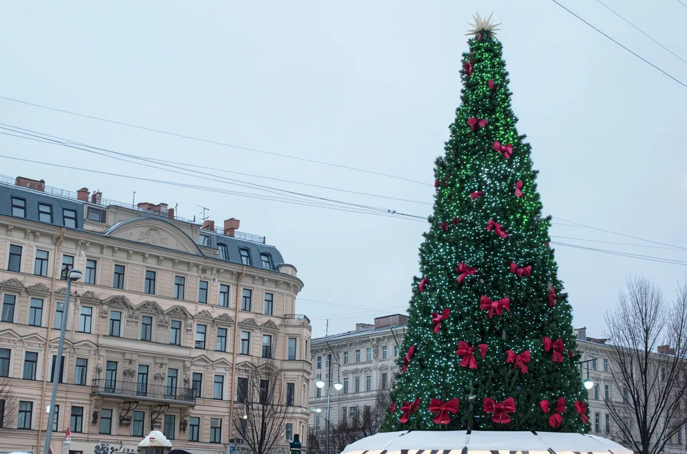Автобусный тур из Москвы «Зимний дуэт. Петербург и Выборг», 4 дня