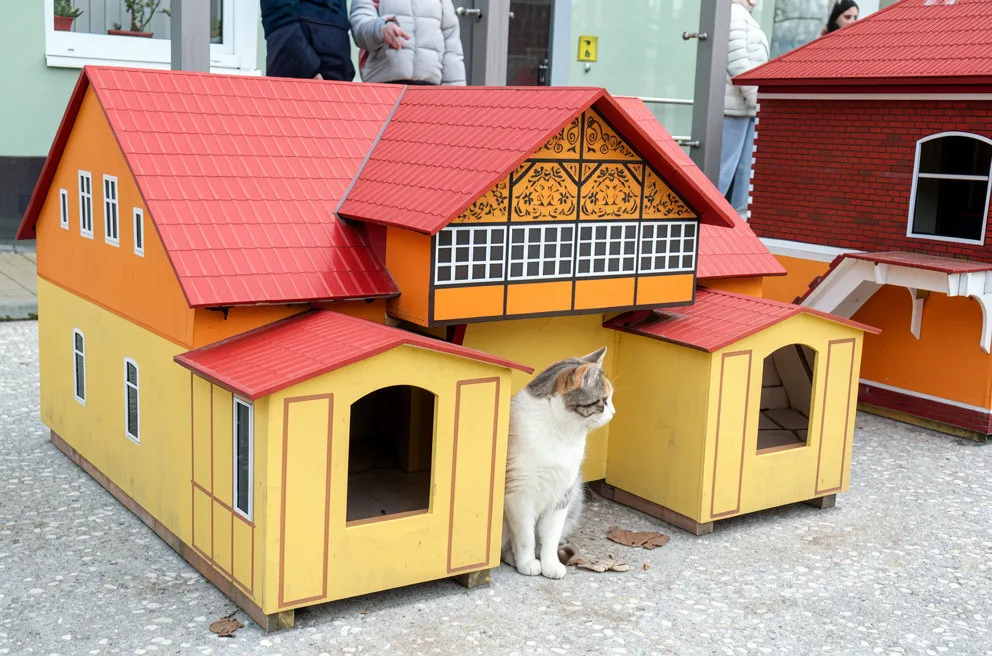 Тур C ночевкой на Куршской: коса + Зеленоградск