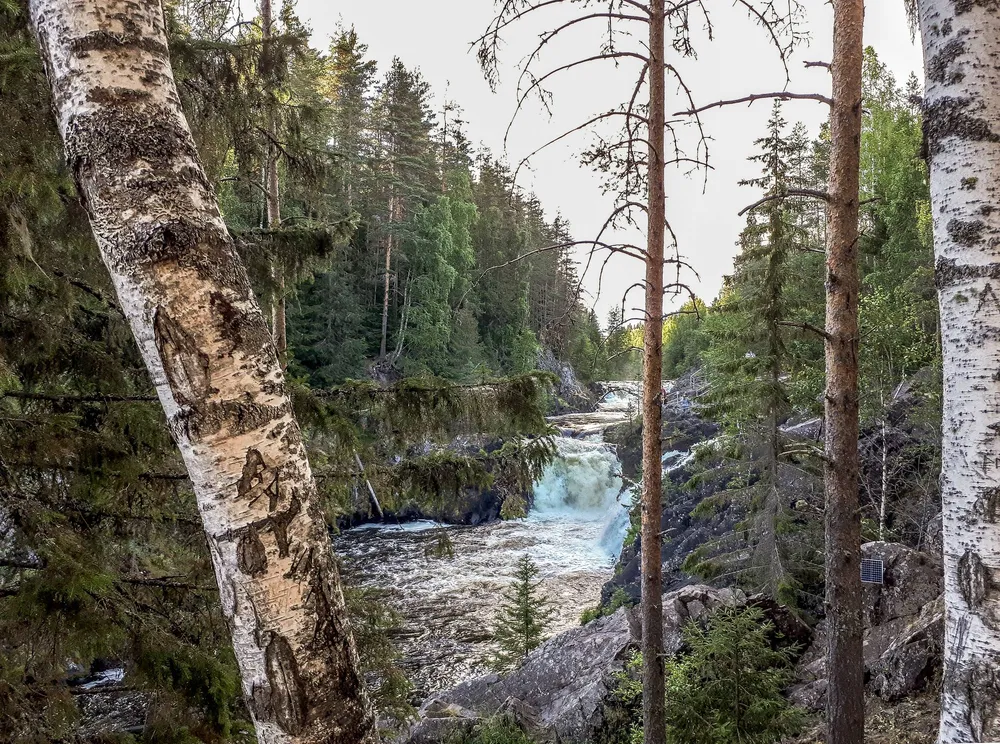 Водопад Кивач в Республике Карелия на реке Суна 