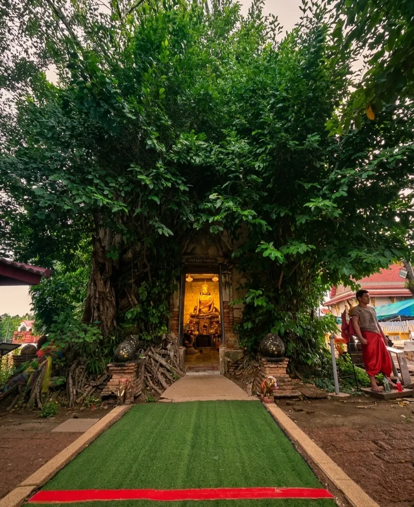 Храм Тайского бокса (Wat Baan Kung)