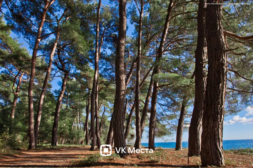 Фото: VK Места